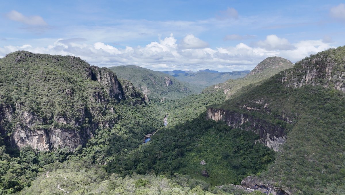 Safari UTV — Parque Nacional