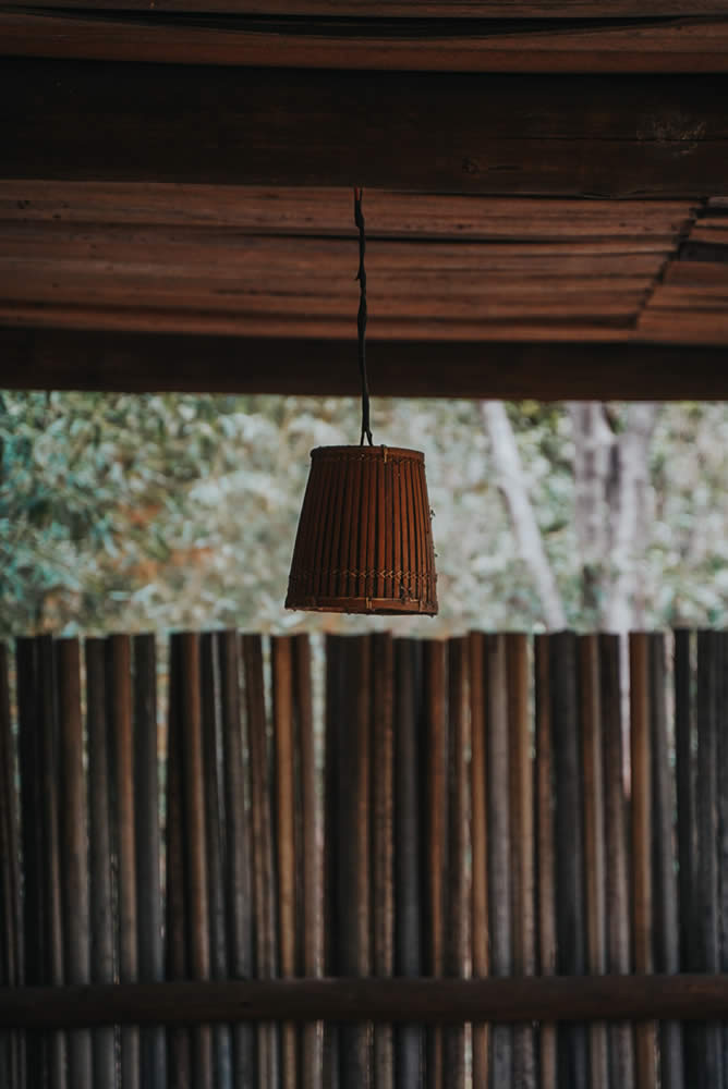 bangalo preguica chapada veadeiros saojorge (5)